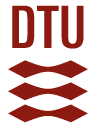 Technical University of Denmark